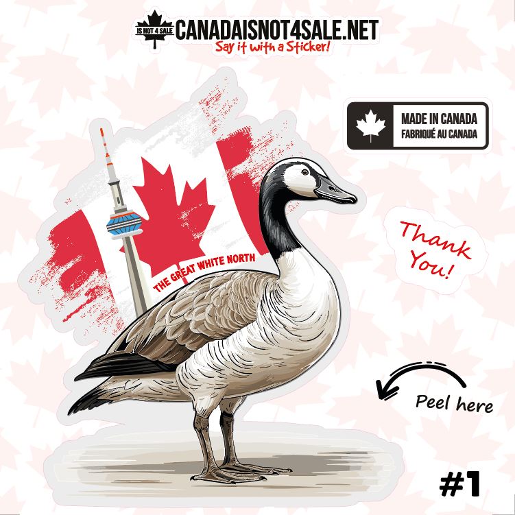 Canadian Geese Collection - 3" Sticker