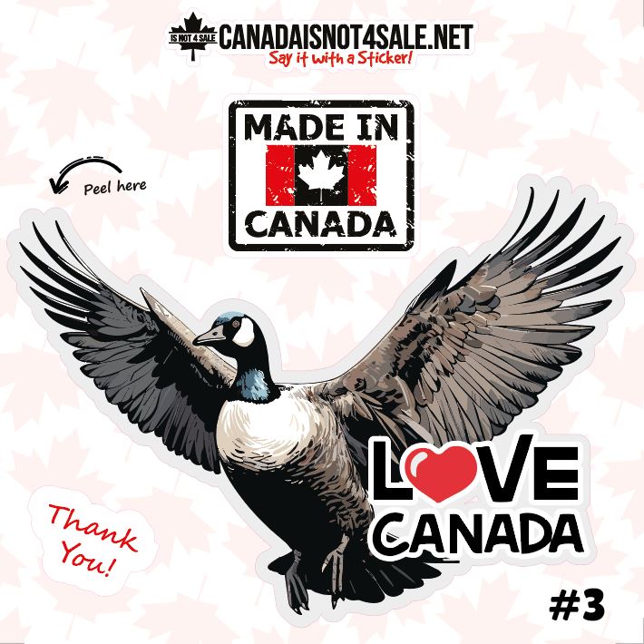 Canadian Geese Collection - 3" Sticker