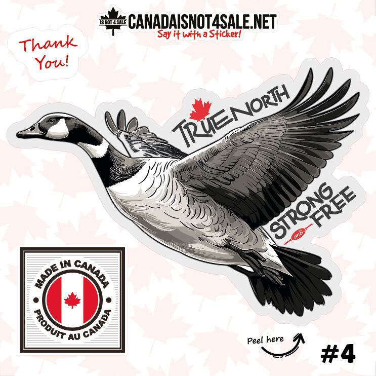 Canadian Geese Collection - 3" Sticker