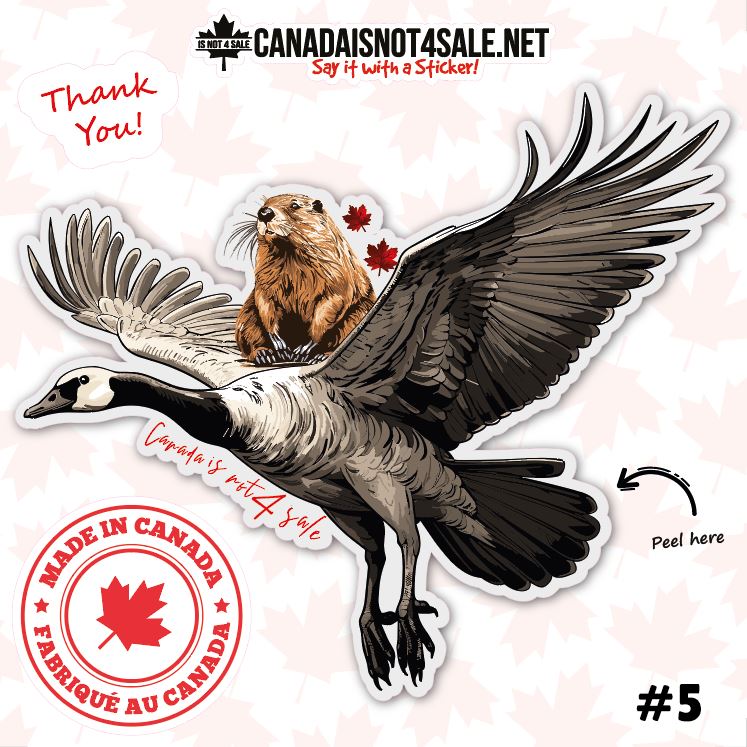 Canadian Geese Collection - 3" Sticker