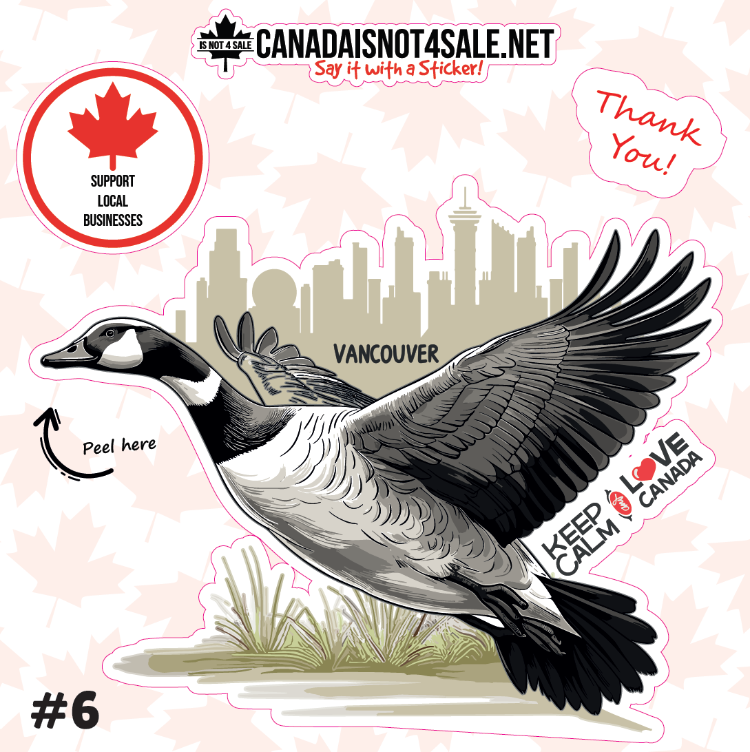 Canadian Geese Collection - 3" Sticker