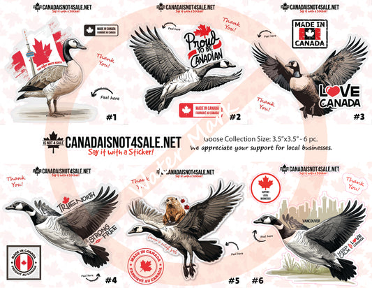 Canadian Geese Collection - 3" Sticker